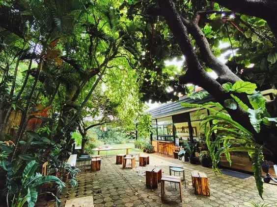 10 Cafe di Bintaro yang Super Cozy dengan Menu yang Enak!